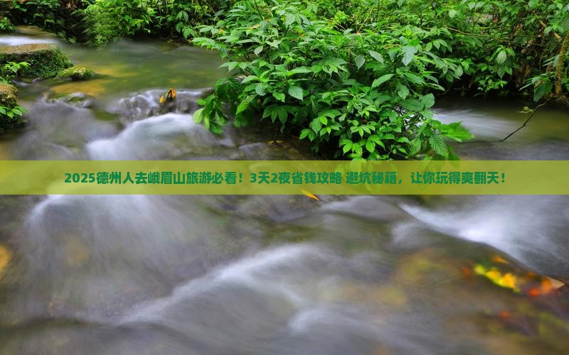 德州到四川峨眉山旅游