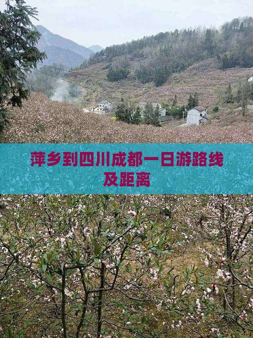 萍乡到四川成都一日