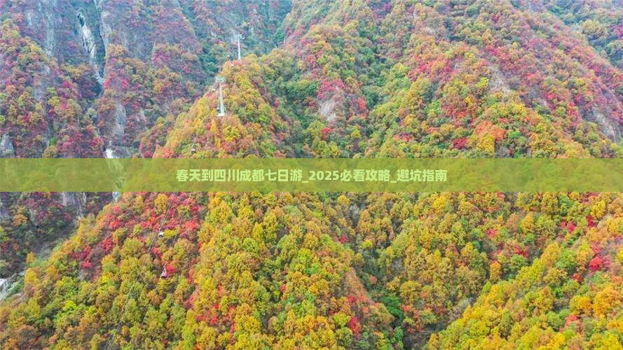 春天到四川成都七日游