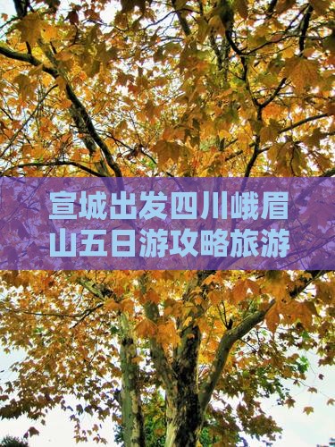 宣城去四川峨眉山五日游