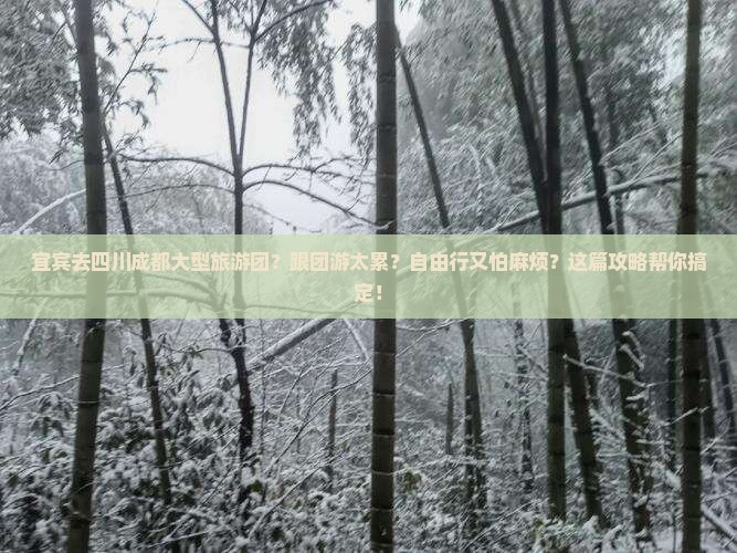 宜宾去四川成都大型旅游团