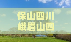 保山去四川峨眉山四日游