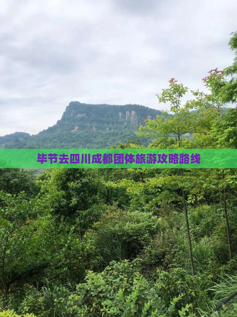 毕节去四川成都团体旅游