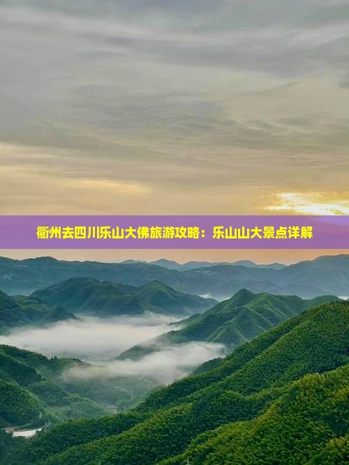 衢州去四川乐山大佛景点