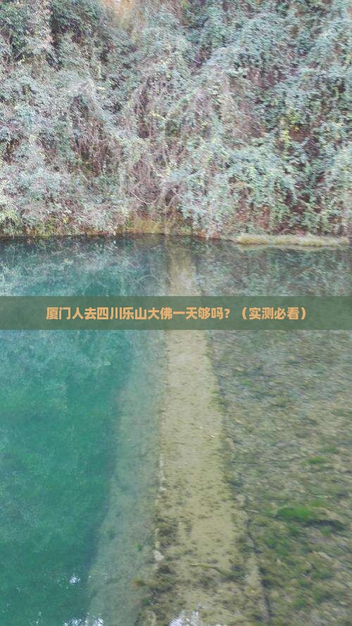 厦门去四川乐山大佛一日