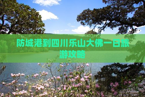 防城港到四川乐山大佛一日