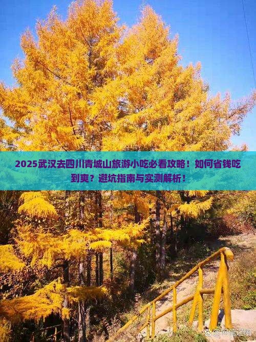 武汉去四川青城山旅游小吃