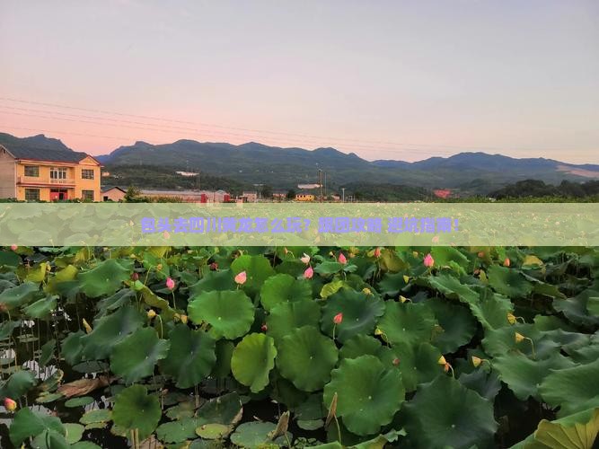 包头去四川黄龙旅行社