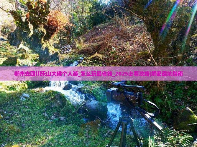 郴州去四川乐山大佛个人游