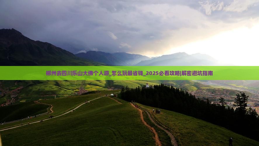 郴州去四川乐山大佛个人游