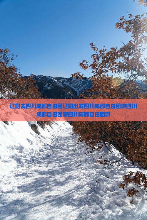 辽阳去四川成都自由团
