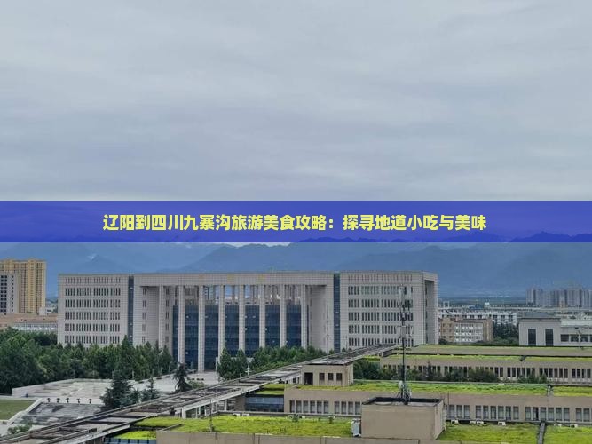 辽阳到四川九寨沟旅游小吃