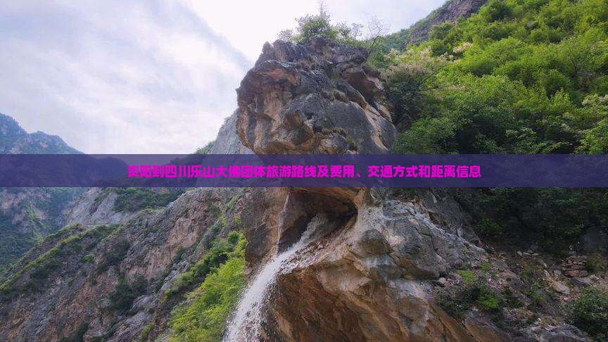 资阳到四川乐山大佛团体旅游