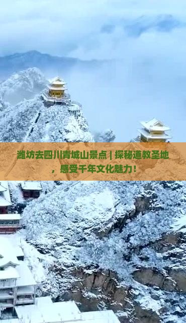 潍坊去四川青城山景点