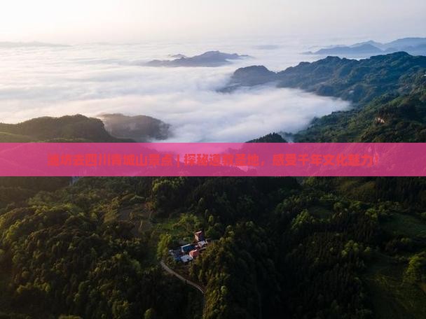 潍坊去四川青城山景点