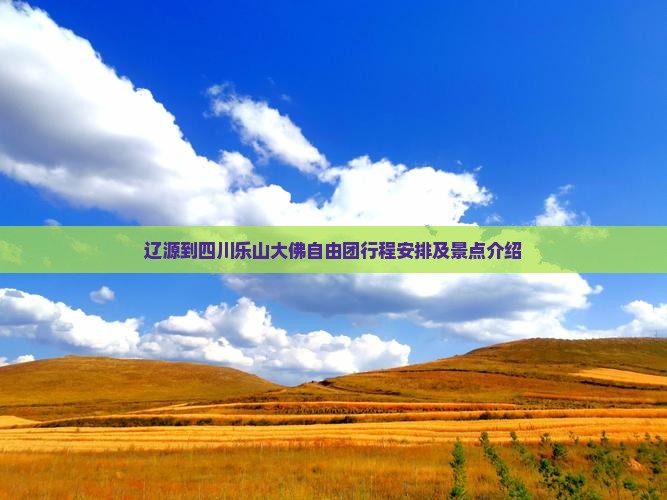 辽源到四川乐山大佛自由团