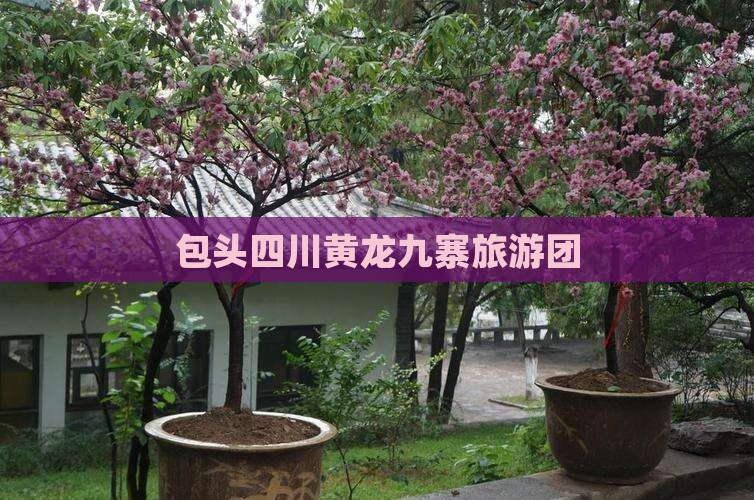 包头去四川黄龙大型旅游团