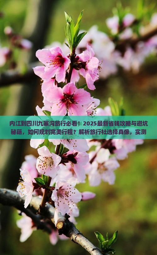 内江到四川九寨沟旅行社