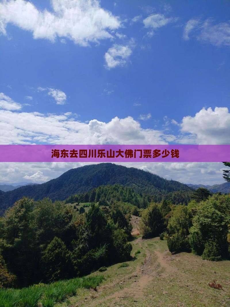 海东去四川乐山大佛门票
