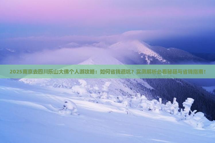 南京去四川乐山大佛个人游