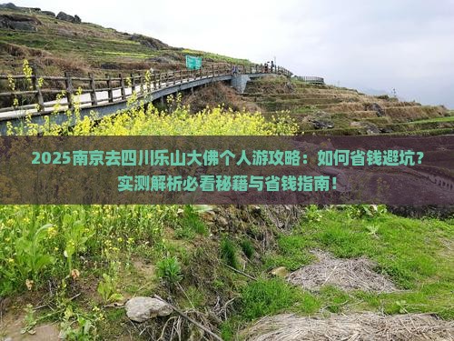 南京去四川乐山大佛个人游