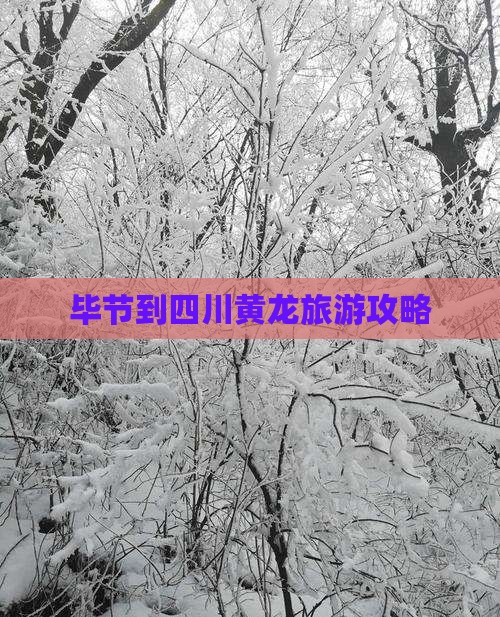 毕节去四川黄龙攻略