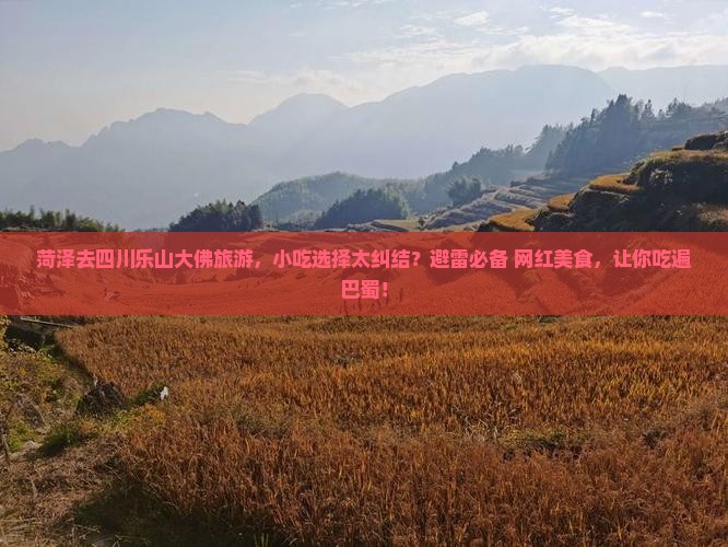 菏泽去四川乐山大佛旅游小吃