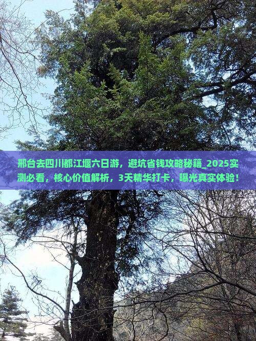邢台去四川都江堰六日游