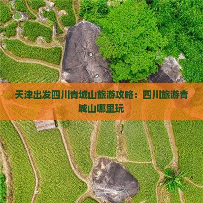 天津去四川青城山哪里玩