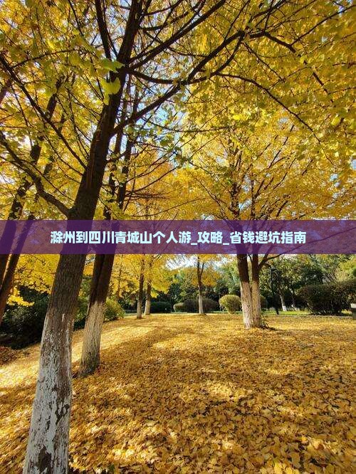 滁州到四川青城山个人游