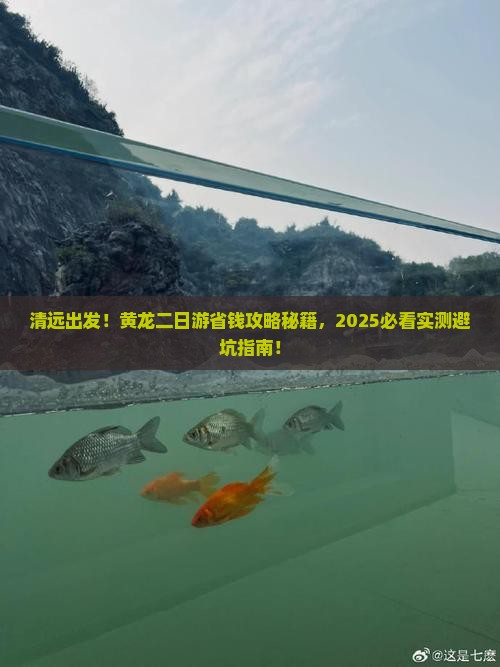 清远去四川黄龙二日游