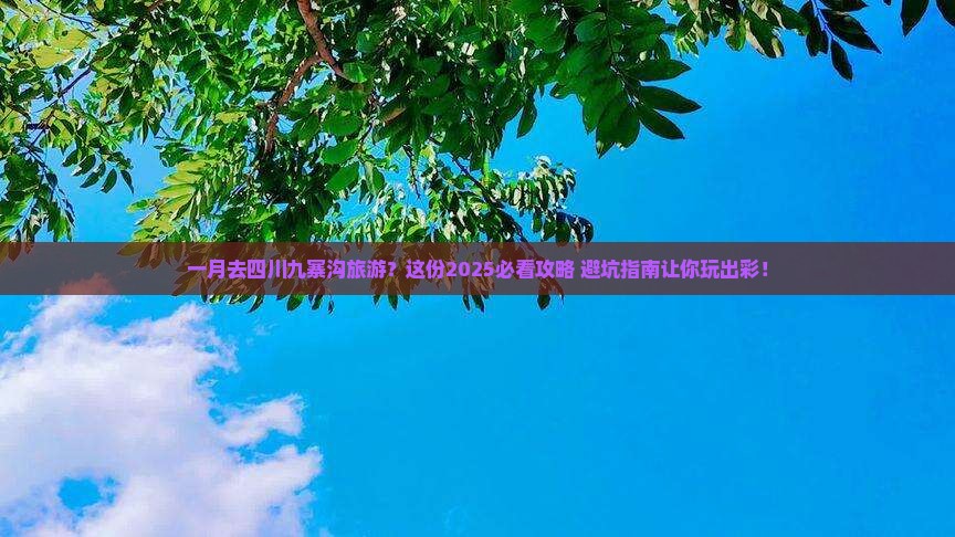 一月去四川九寨沟旅游