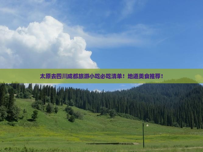 太原去四川成都旅游小吃