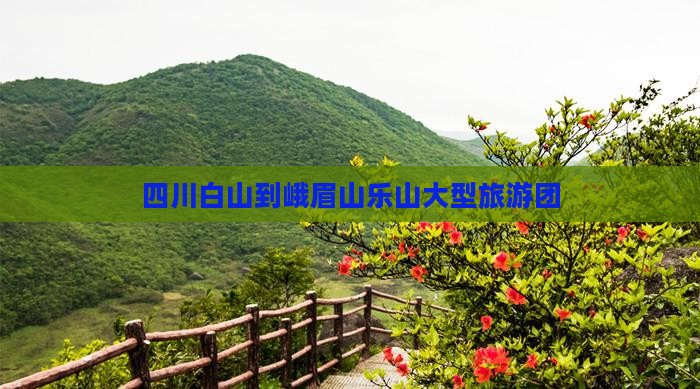 白山到四川峨眉山大型旅游团