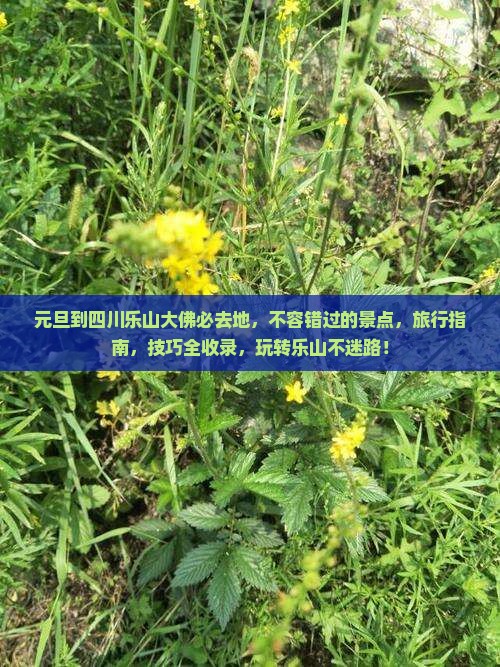 元旦到四川乐山大佛必去地