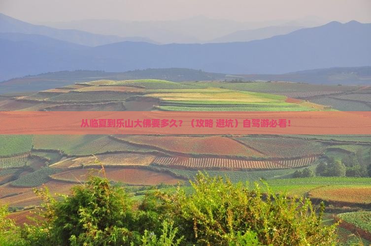 临夏去四川乐山大佛景点