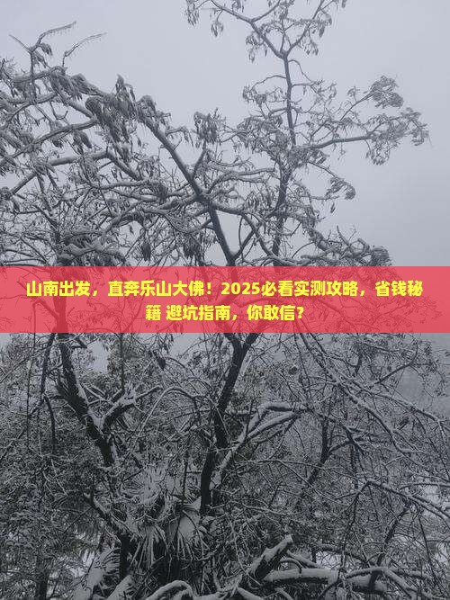 山南到四川乐山大佛五日游