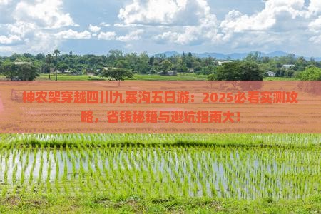 神农架去四川九寨沟五日游