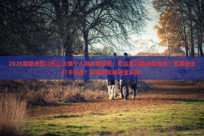 常德去四川乐山大佛个人游