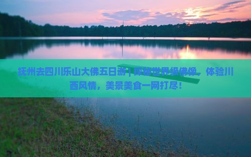 抚州去四川乐山大佛五日游