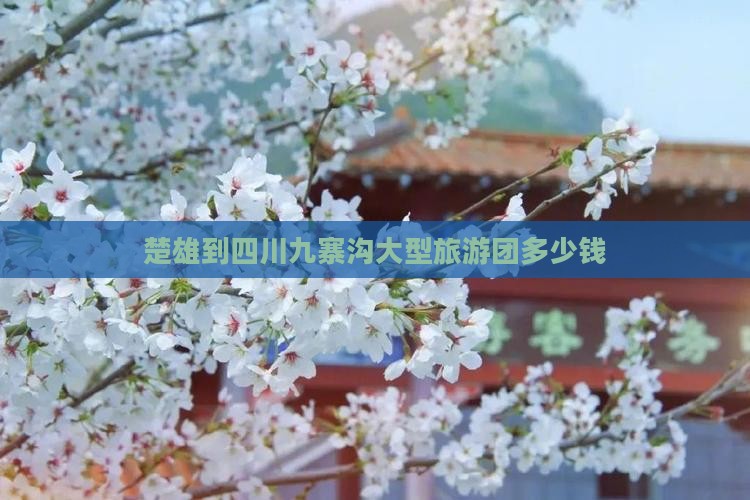 楚雄到四川九寨沟大型旅游团