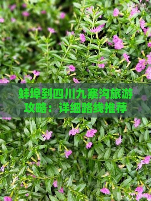 蚌埠去四川九寨沟景点
