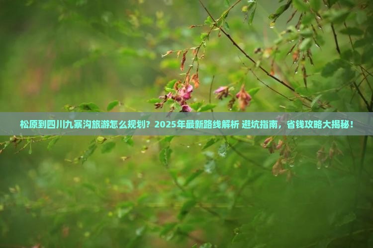 松原到四川九寨沟旅行社