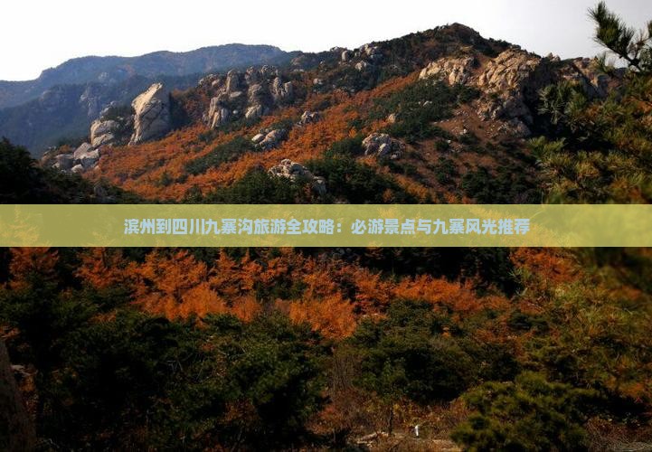 滨州到四川九寨沟旅游