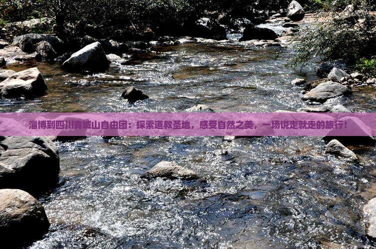 淄博到四川青城山自由团