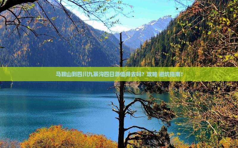 马鞍山到四川九寨沟四日游