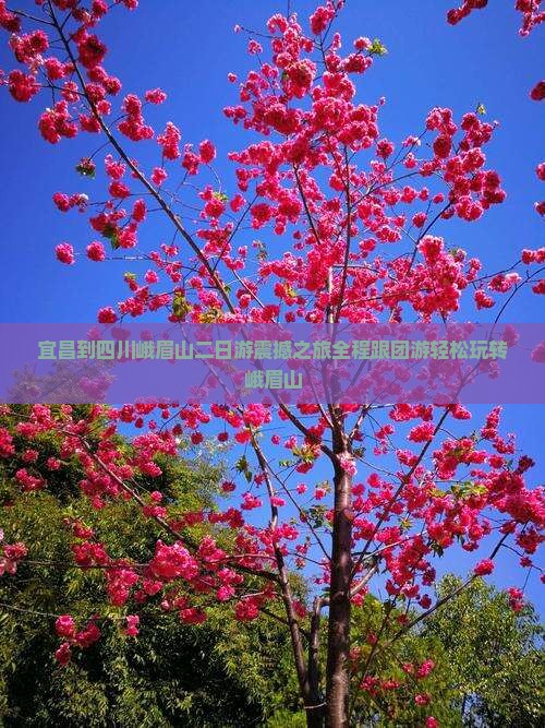 宜昌到四川峨眉山二日游