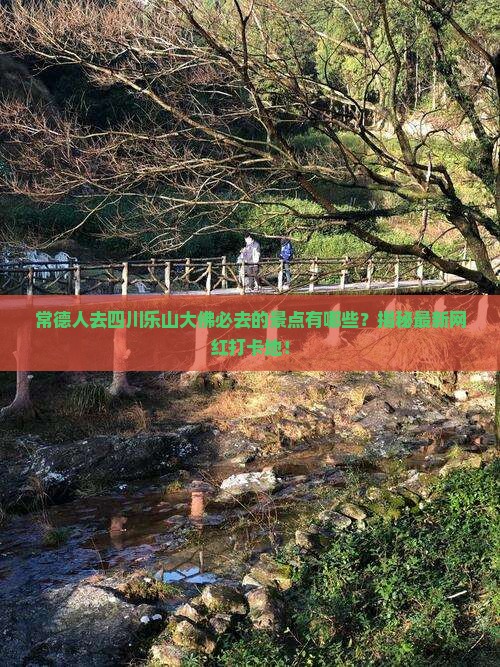 常德去四川乐山大佛必去地