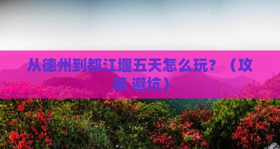德州到四川都江堰五日游
