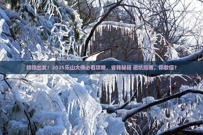 蚌埠到四川乐山大佛景点
